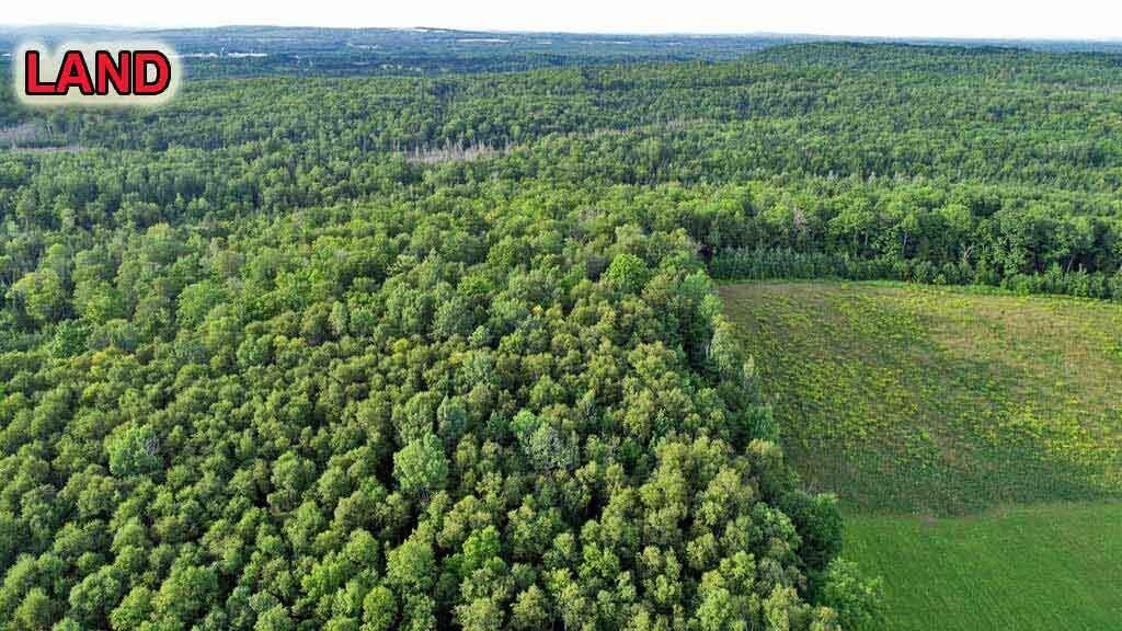 Lot-5-1 Burton Road Linneus, ME 04730 - Photo 16 of 18 northern-me-wood-land