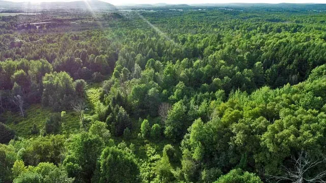 $99,500 | Lot-5-1 Burton Road, Linneus, ME 04730