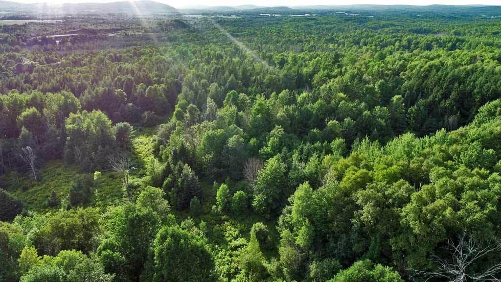 Lot-5-1 Burton Road Linneus, ME 04730 - Photo 18 of 18 land-me-linneus-aroostook