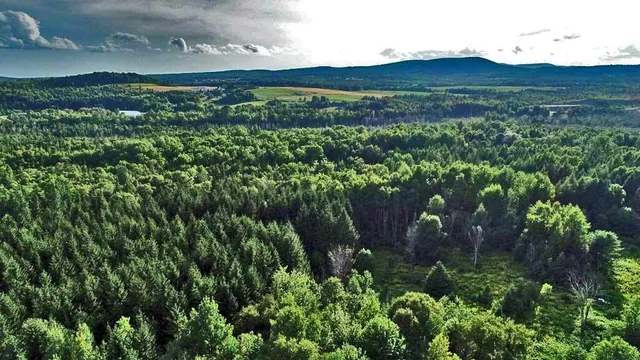 $99,500 | Lot-5-1 Burton Road, Linneus, ME 04730