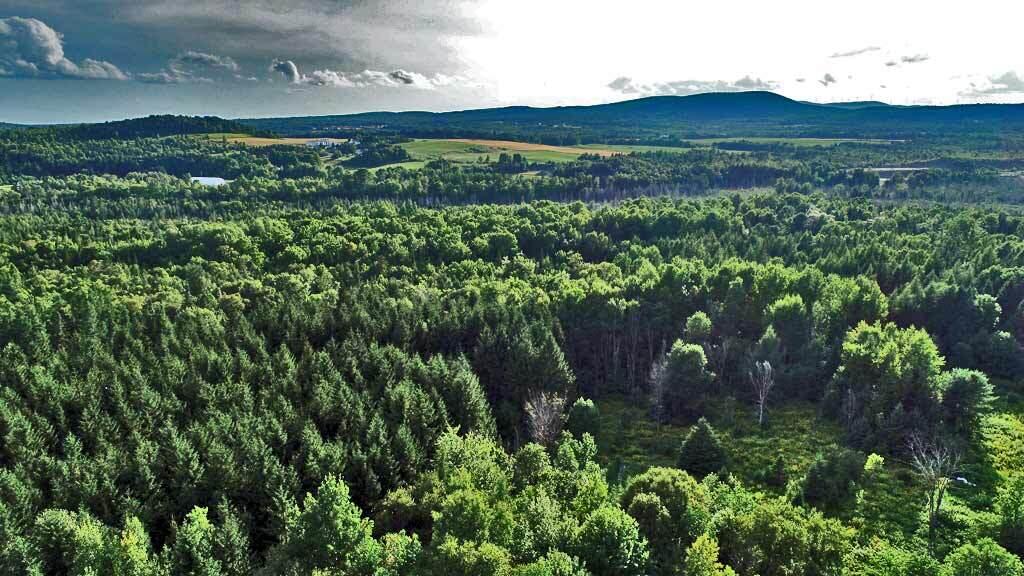 Lot-5-1 Burton Road Linneus, ME 04730 - Photo 2 of 18 land-me-aroostook