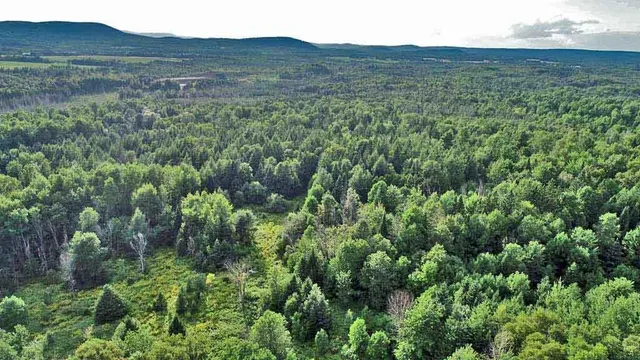 $99,500 | Lot-5-1 Burton Road, Linneus, ME 04730