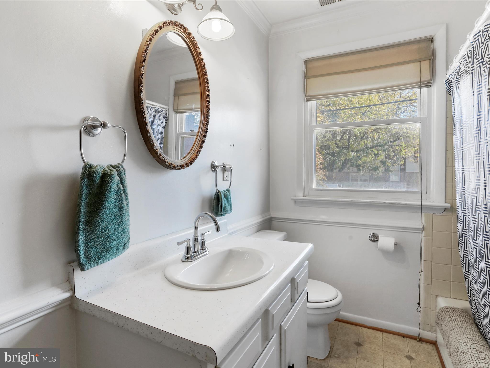 239 Chestnut Street Winchester, VA 22601 - Photo 17 of 35 a bathroom with a sink and a mirror