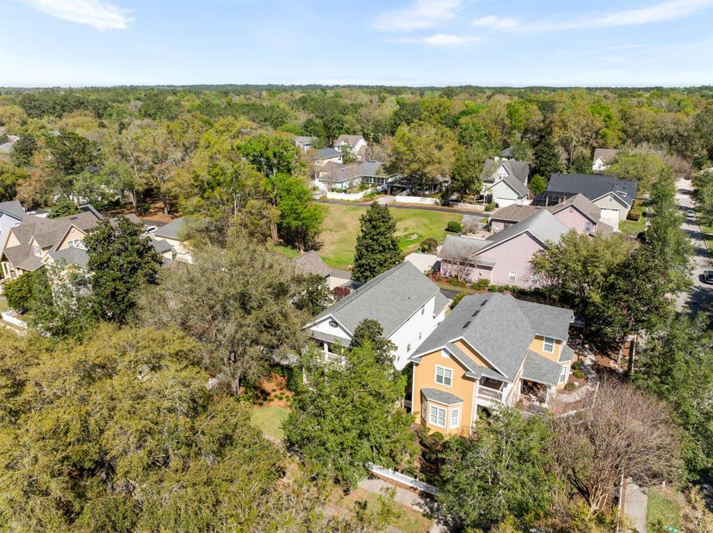 271 Southwest 129 Terrace Newberry, FL 32669 - Photo 48 of 79