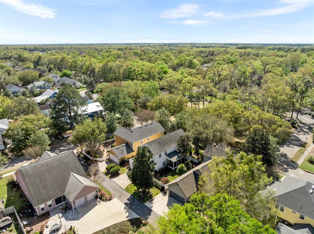 271 Southwest 129 Terrace Newberry, FL 32669 - Photo 52 of 79