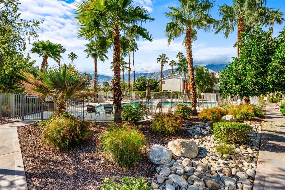3155 Ramon Road, Unit 312 Palm Springs, CA 92264 - Photo 32 of 34 a garden with palm trees