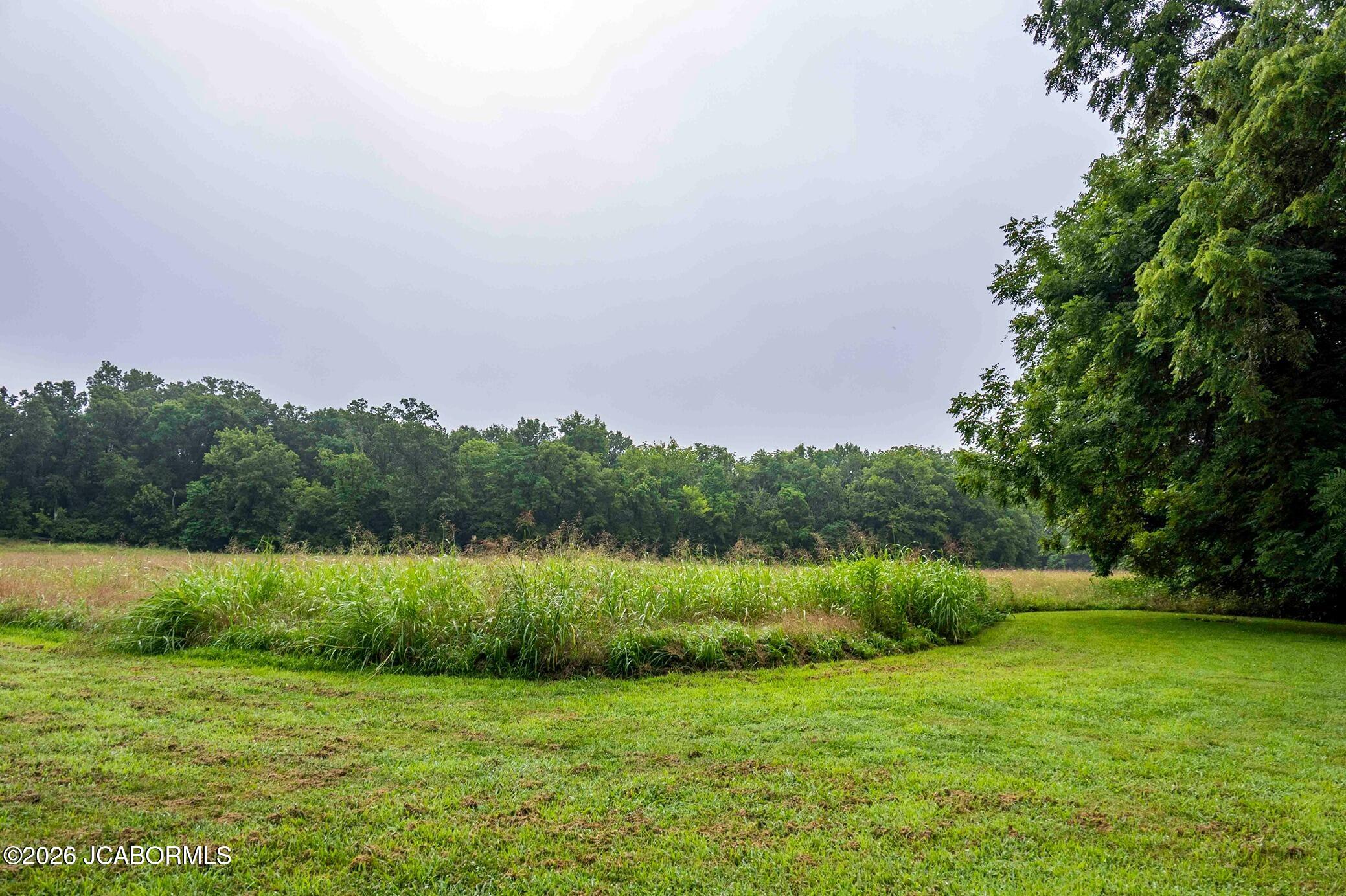 Tbd Talley Road Hartsburg, MO 65039 - Photo 42 of 106