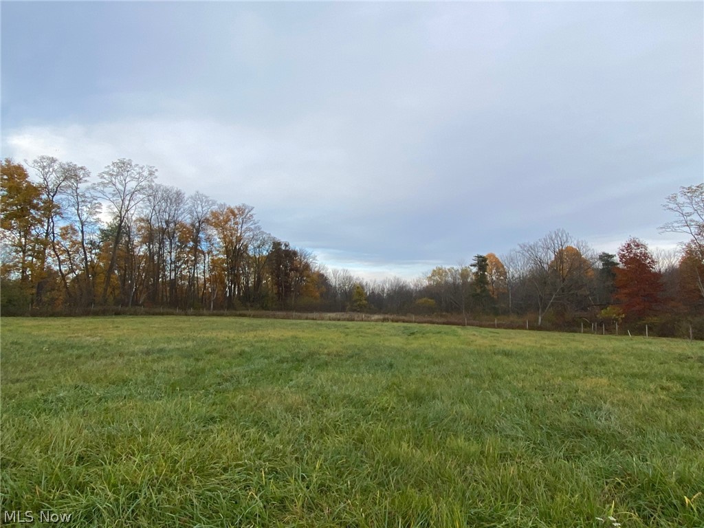 9989 Old State Road Chardon, OH 44024 - Photo 6 of 6