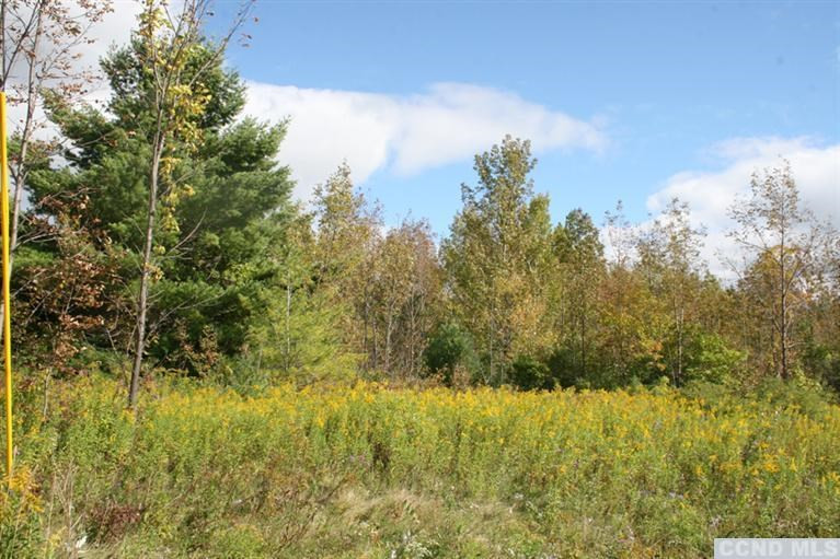 0 Rt 360 Rensselaerville, NY 12147 - Photo 3 of 5