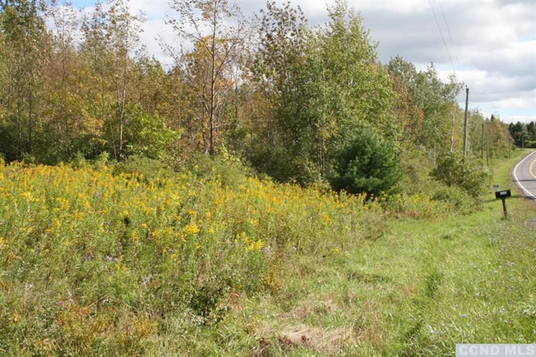 0 Rt 360 Rensselaerville, NY 12147 - Photo 4 of 5 a view of a yard