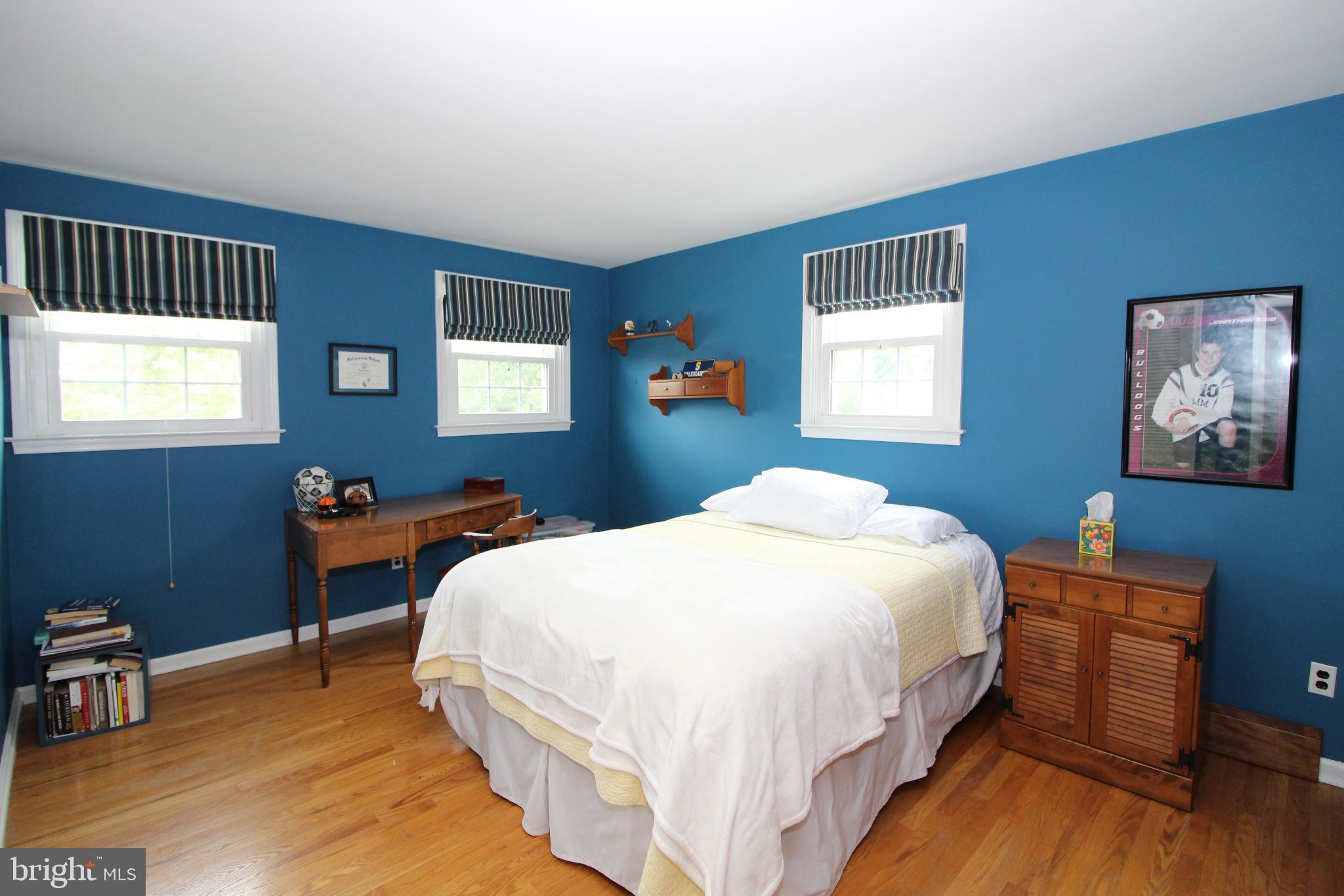 729 Halstead Road Wilmington, DE 19803 - Photo 19 of 25 Bright and Cheery Third Bedroom