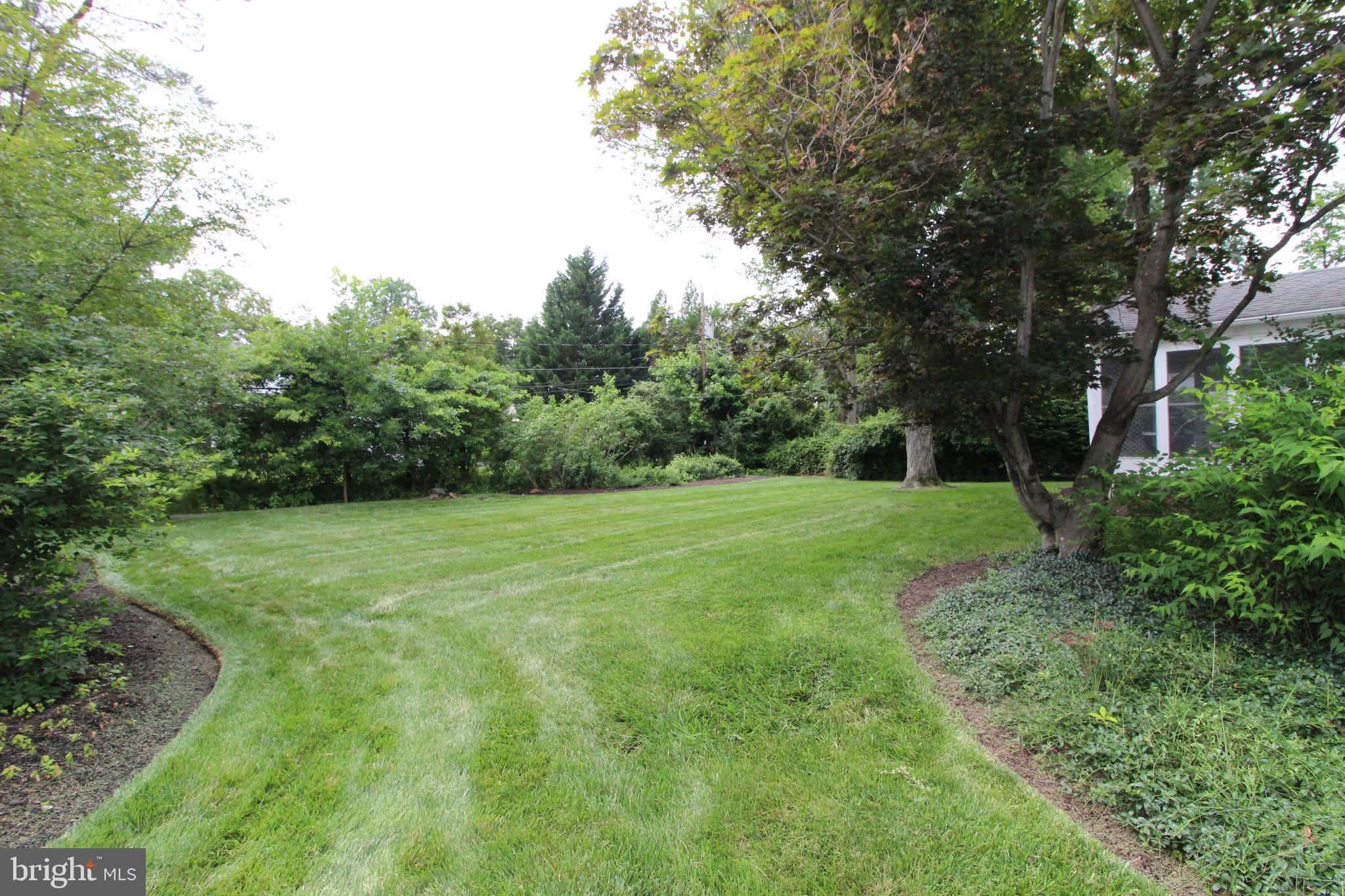 729 Halstead Road Wilmington, DE 19803 - Photo 24 of 25 Lush Green Lawn with Privacy Plus