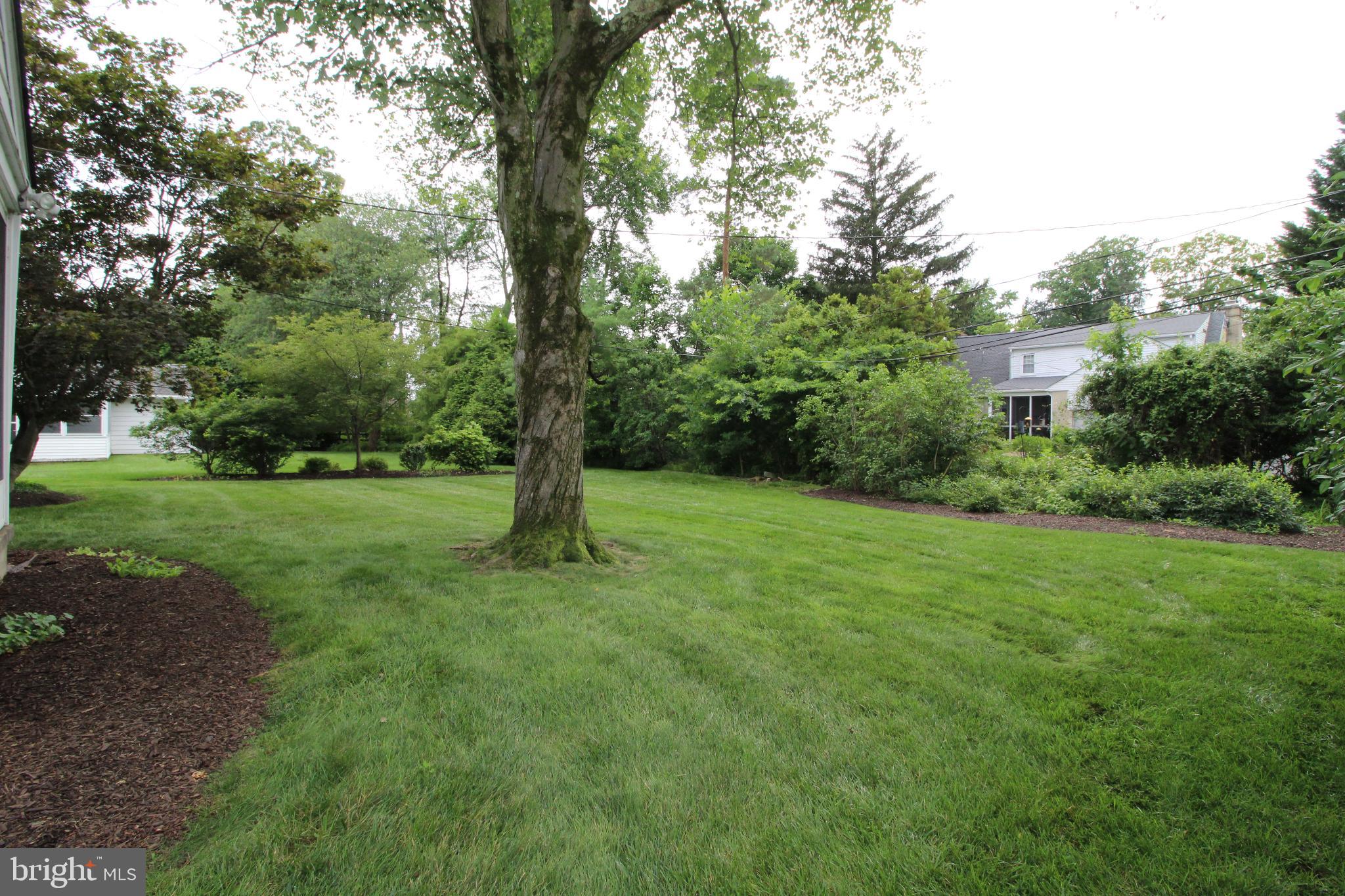 729 Halstead Road Wilmington, DE 19803 - Photo 25 of 25 Lush green oasis with mature trees.