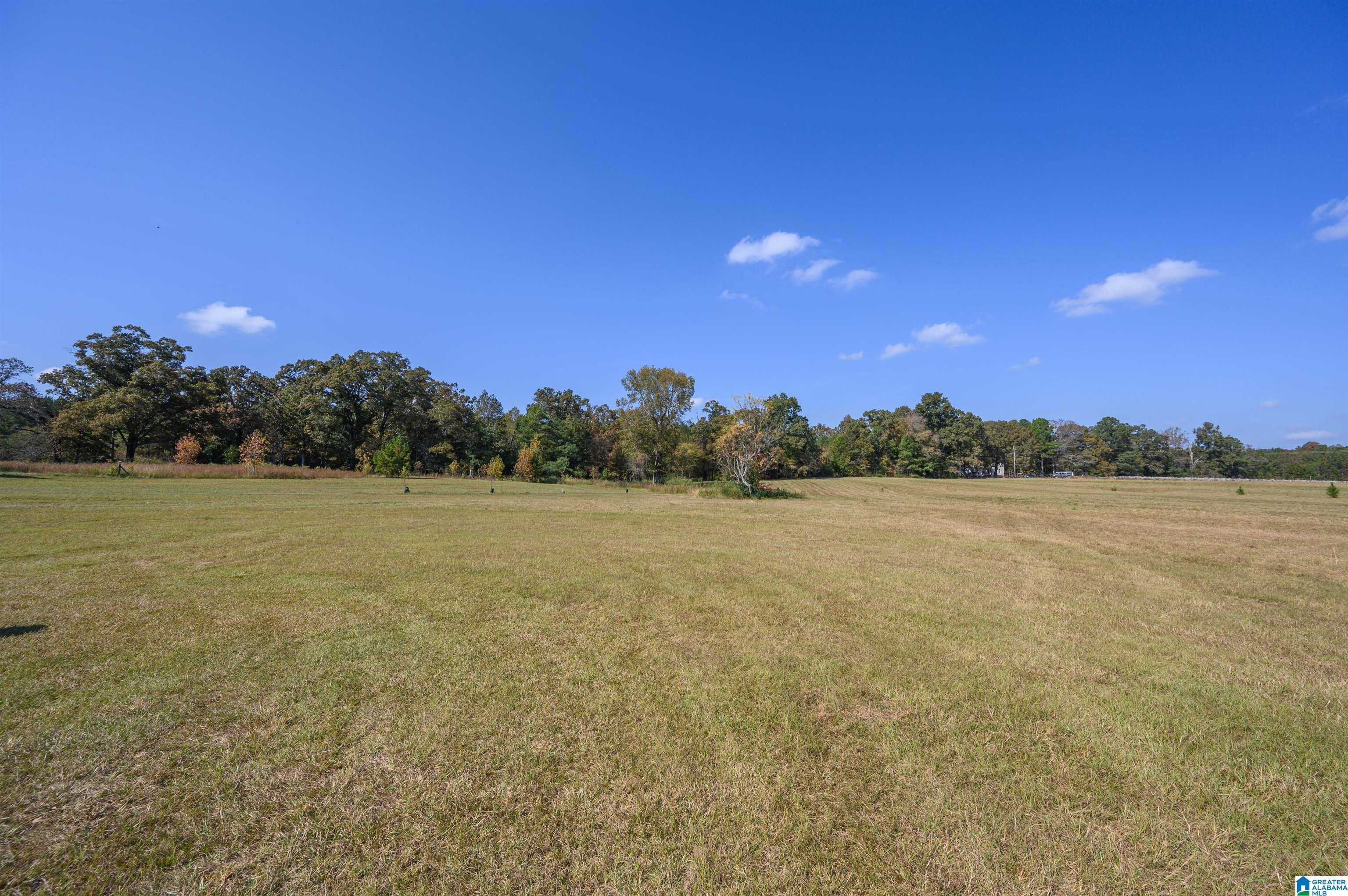 277 Jackson Farm Road Wilsonville, AL 35186 - Photo 53 of 68