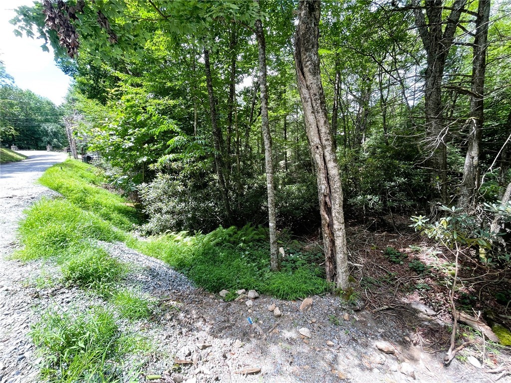 252 Greenbriar Road Beech Mountain, NC 28604 - Photo 2 of 17