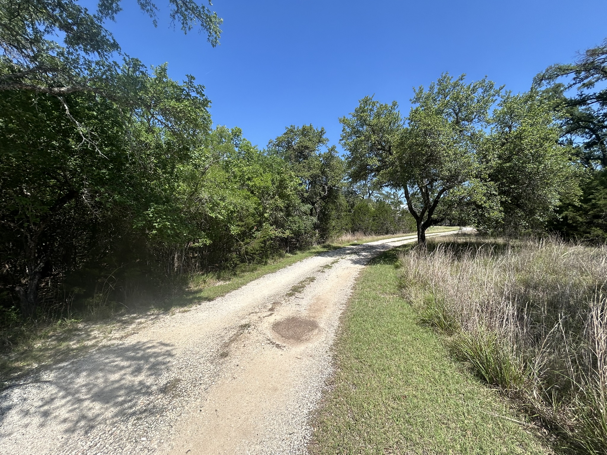 206 Wind Ridge Cove Georgetown, TX 78628 - Photo 16 of 19 a view of lake