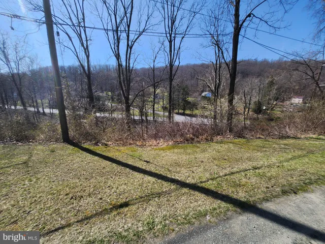 a view of a yard with trees