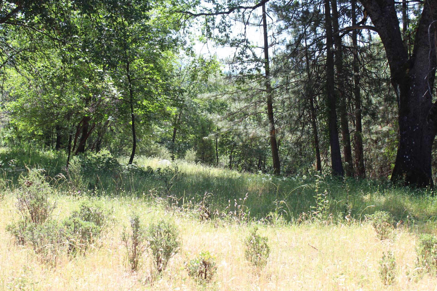 21785 State Rte 26 West Point, CA 95255 - Photo 4 of 14