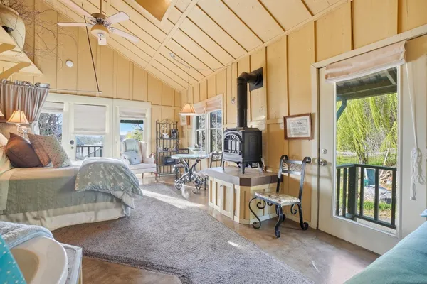 a view of a yard with plants and trees