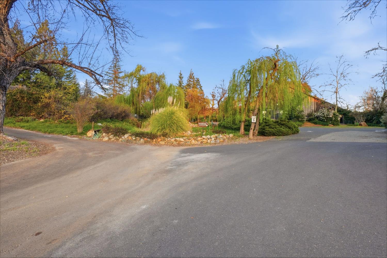 21645 Parrotts Ferry Road Sonora, CA 95370 - Photo 5 of 95 Your view as you enter the property through the front gate.