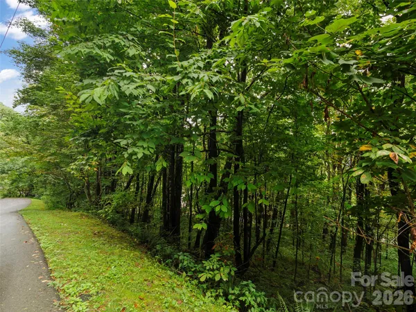 $39,000 | Lot 28 Jefferson Lane, Waynesville, NC 28786