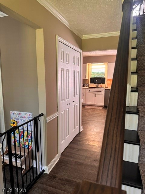 2760 Haines Road Madison, OH 44057 - Photo 9 of 33 Wood-finish flooring throughout, white bi-fold doors, white baseboards, crown molding, and a kitchen visible through an arched doorway featuring white cabinetry, a window, and a stainless steel sink