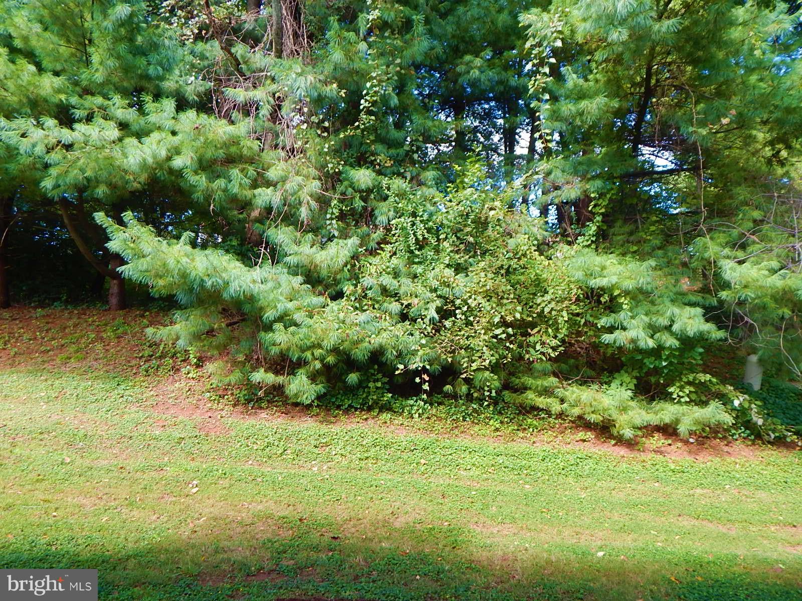 828 Ripplebrook Drive Culpeper, VA 22701 - Photo 20 of 20 View