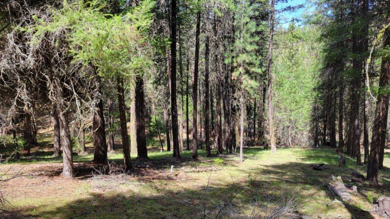 1315 Lofton Creek Road Prineville, OR 97754 - Photo 54 of 61 image000004 (6)