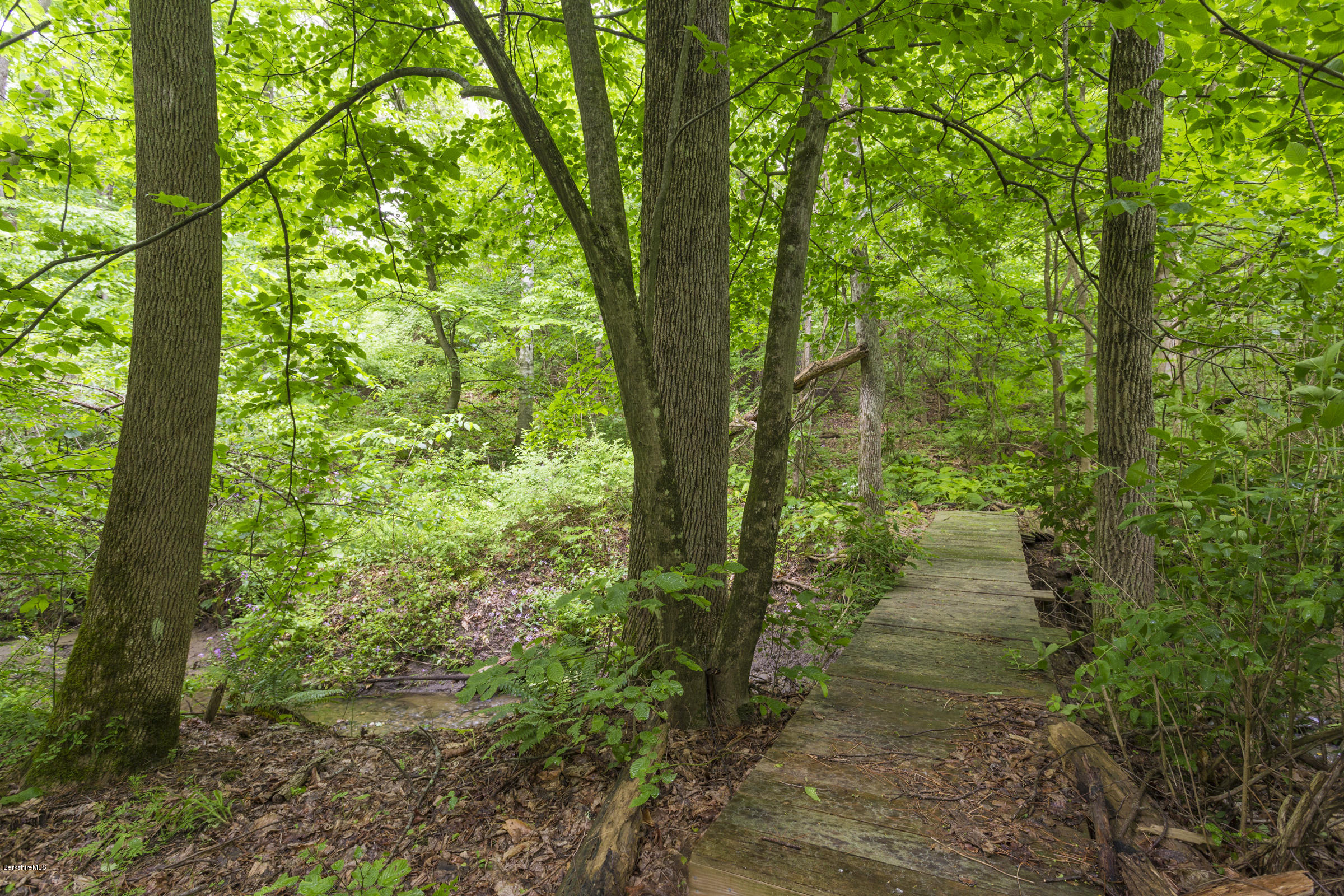 1 Mahkeenac Road Stockbridge, MA 01262 - Photo 22 of 32 a view of a yard with plants and trees