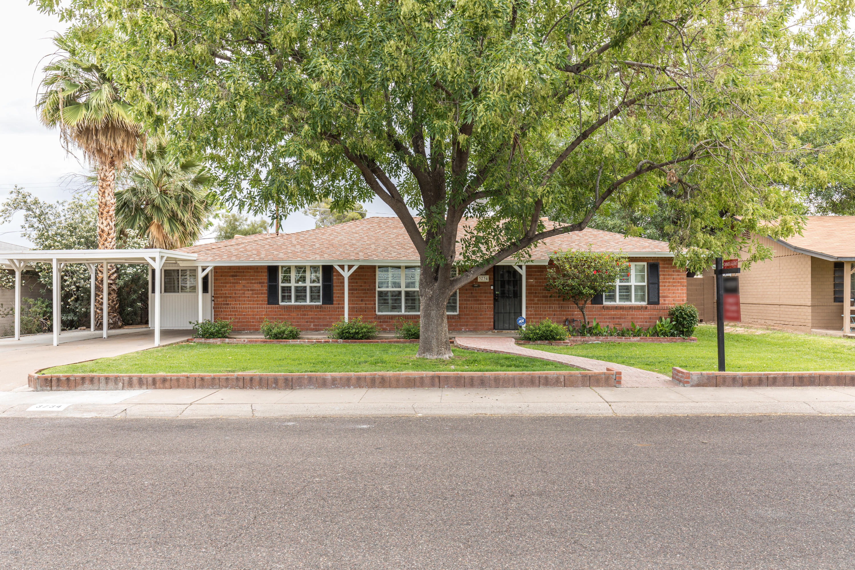3734 Picadilly (1 of 11)