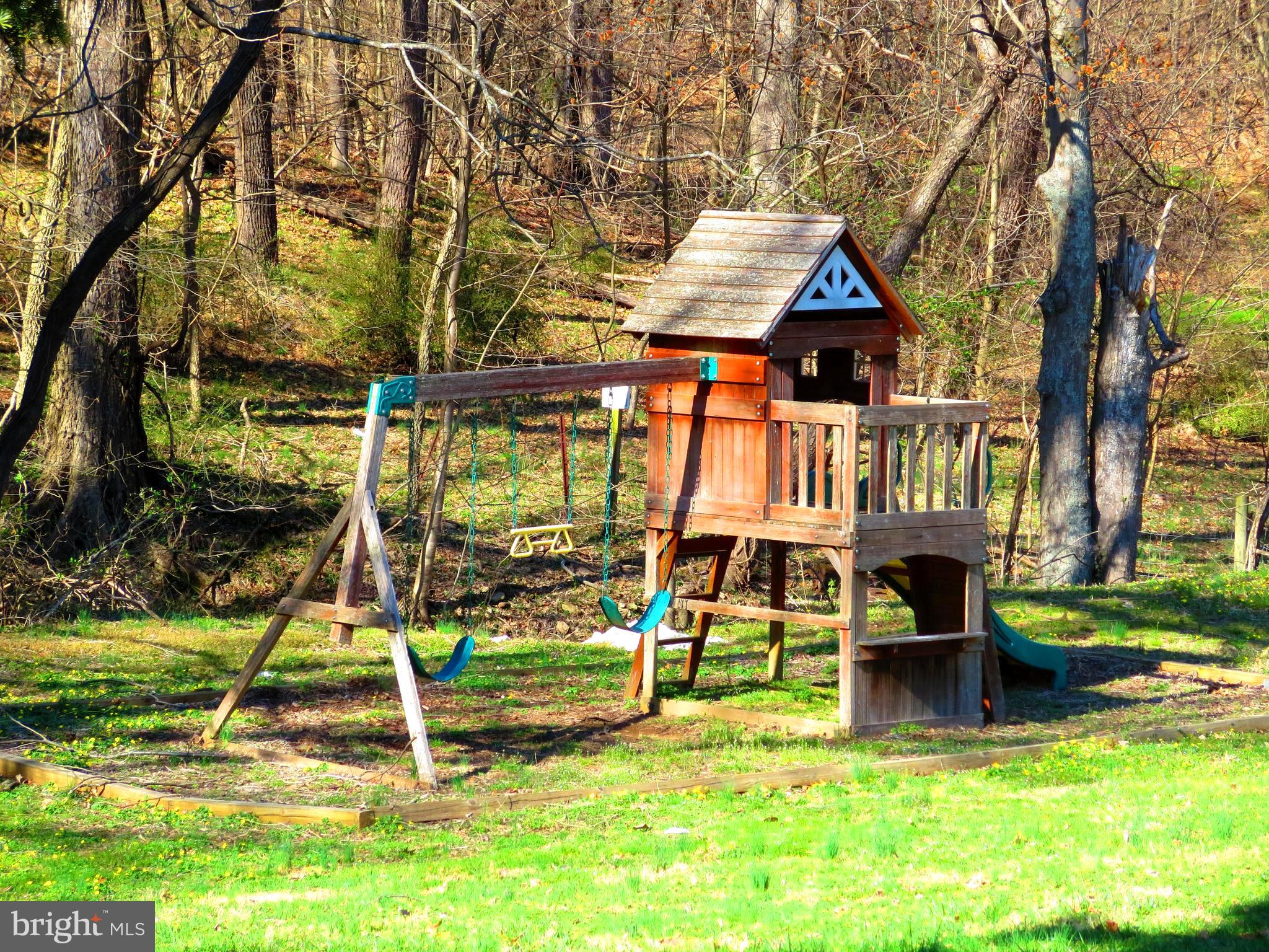 9813 Moyer Road Damascus, MD 20872 - Photo 35 of 43 Play Equipment in Back Yard