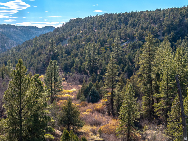 6 South N Frk Road Orderville, UT 84758 - Photo 21 of 68 Mountain view featuring a heavily wooded area