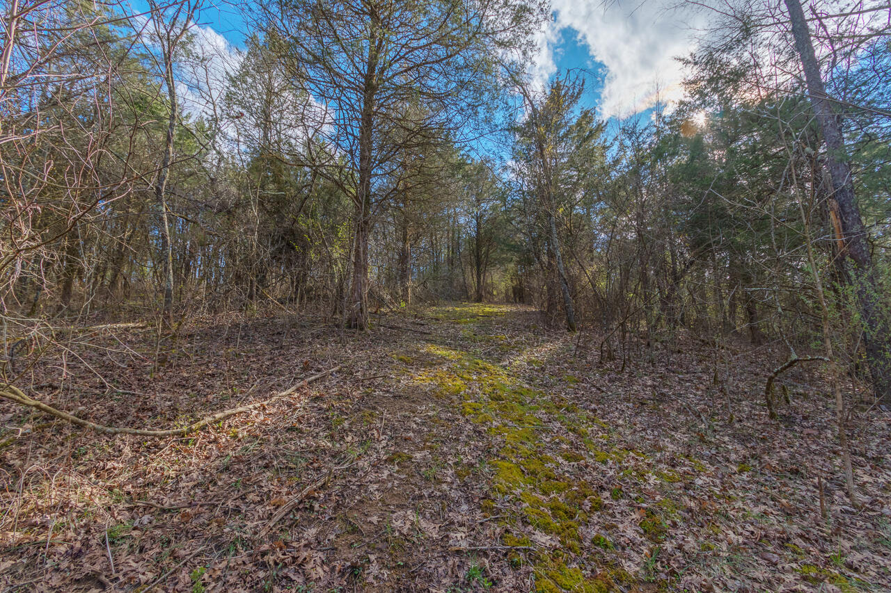 1 Camp Pleasant Road Frankfort, KY 40601 - Photo 37 of 67 073-2918-Cedar-Rd-Stamping-Ground-KY-403