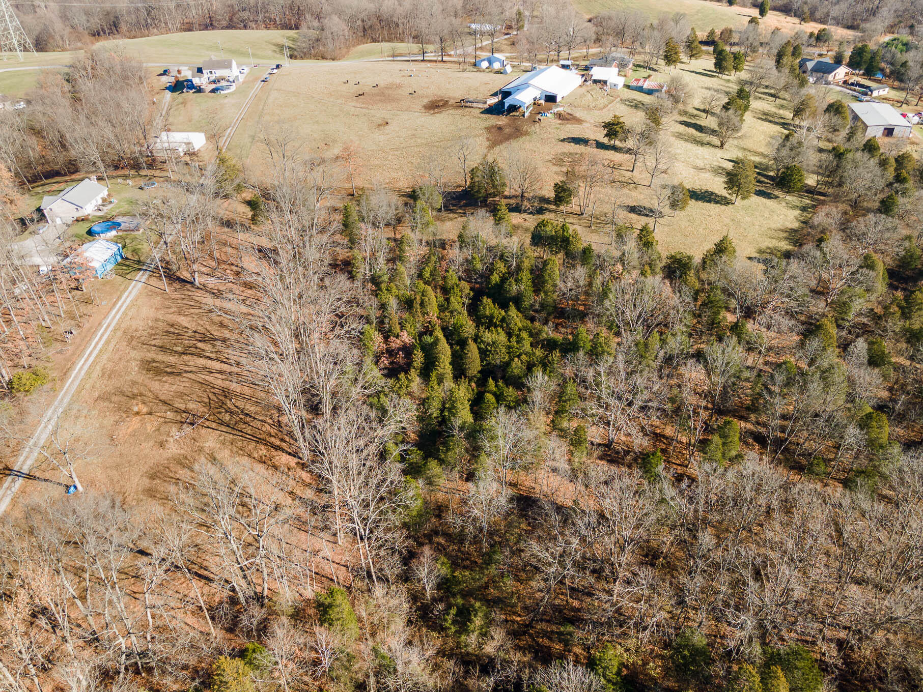 0 Truesdell Road California, KY 41007 - Photo 9 of 16