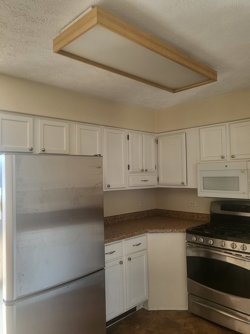 1107 Spring Beach Way Cary, IL 60013 - Photo 8 of 12