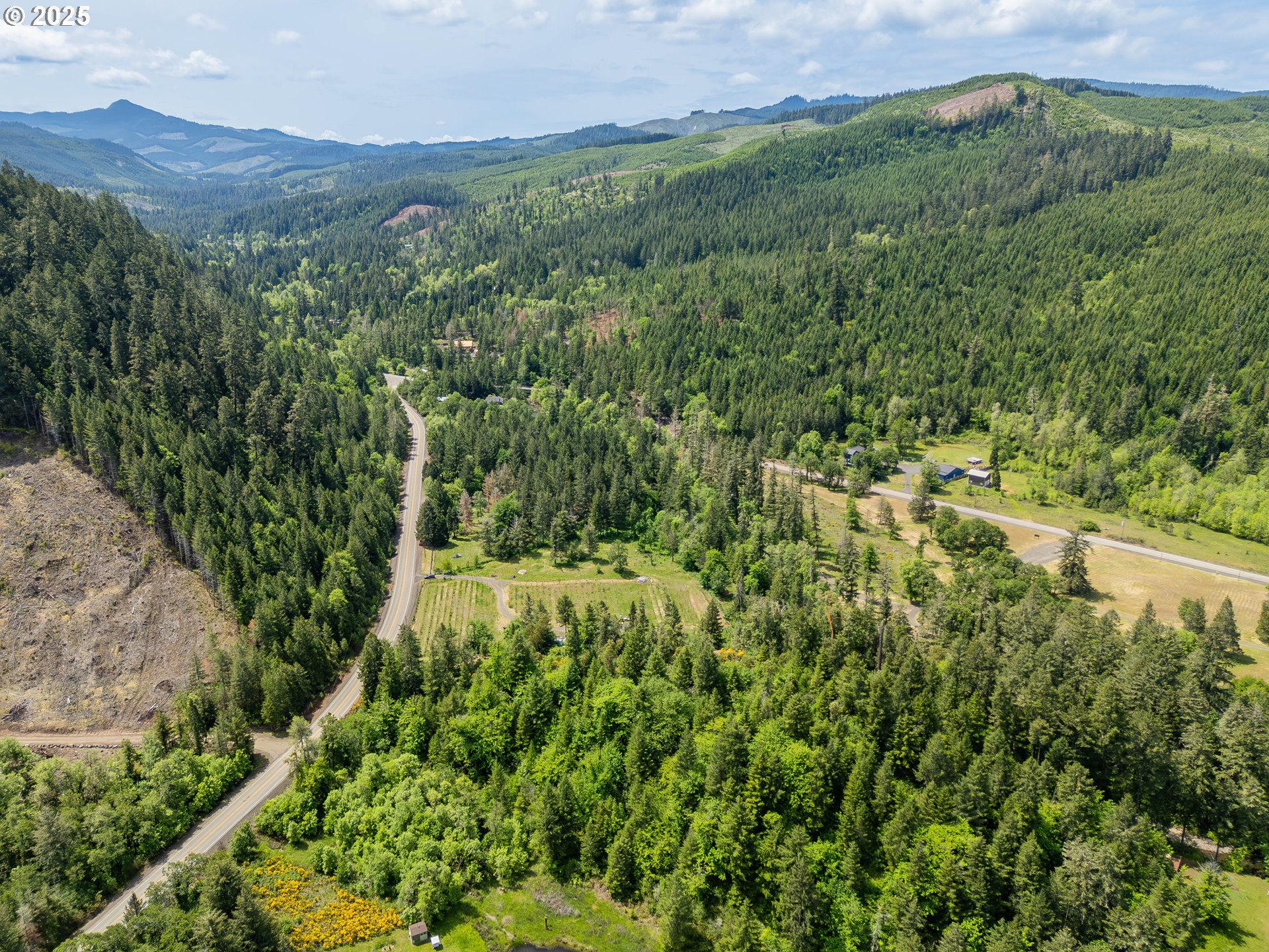 400 Newbridge Road Glide, OR 97443 - Photo 15 of 15 a view of a lush green forest with trees and some houses