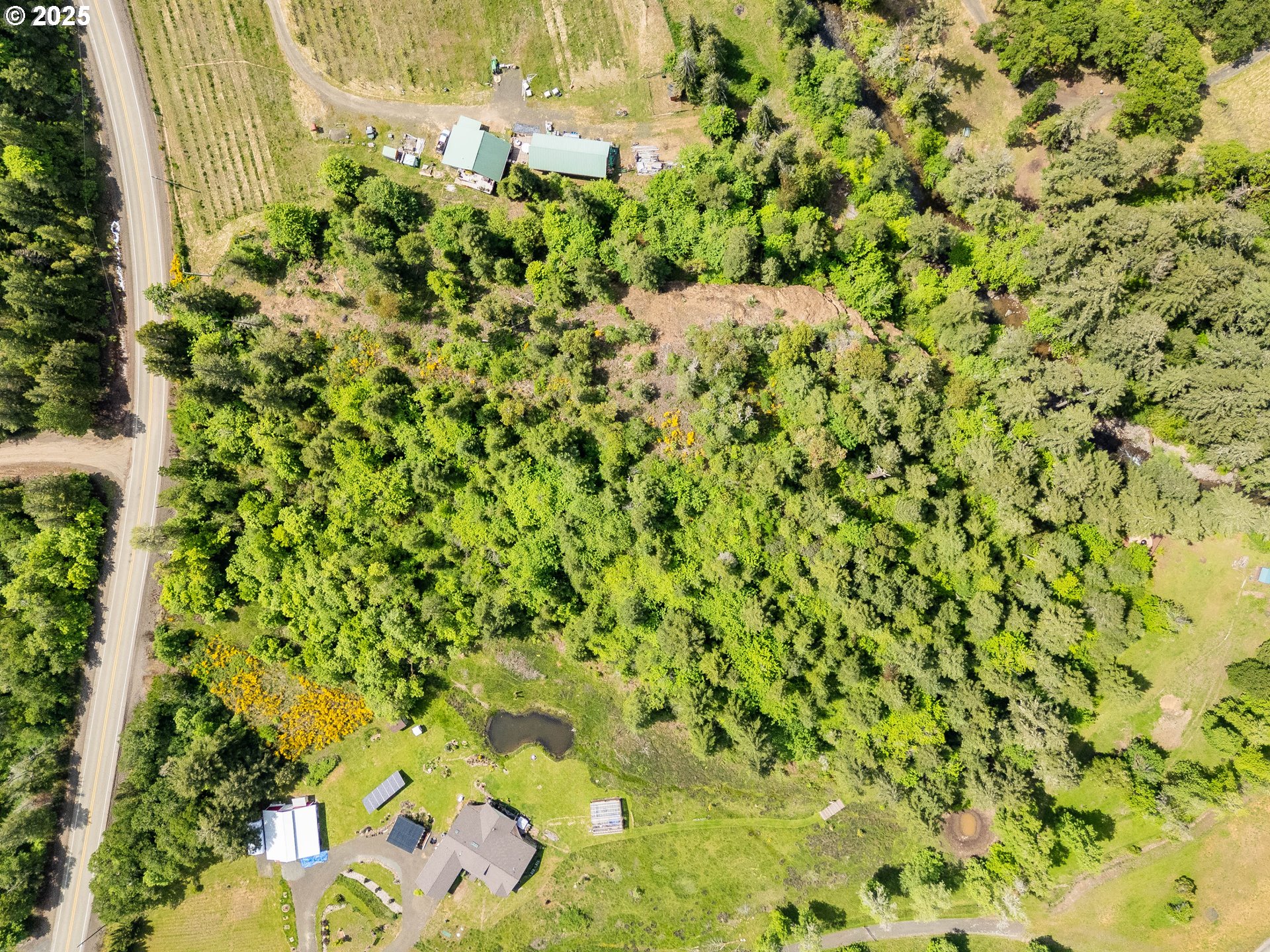 400 Newbridge Road Glide, OR 97443 - Photo 2 of 15 a view of a yard with a plant