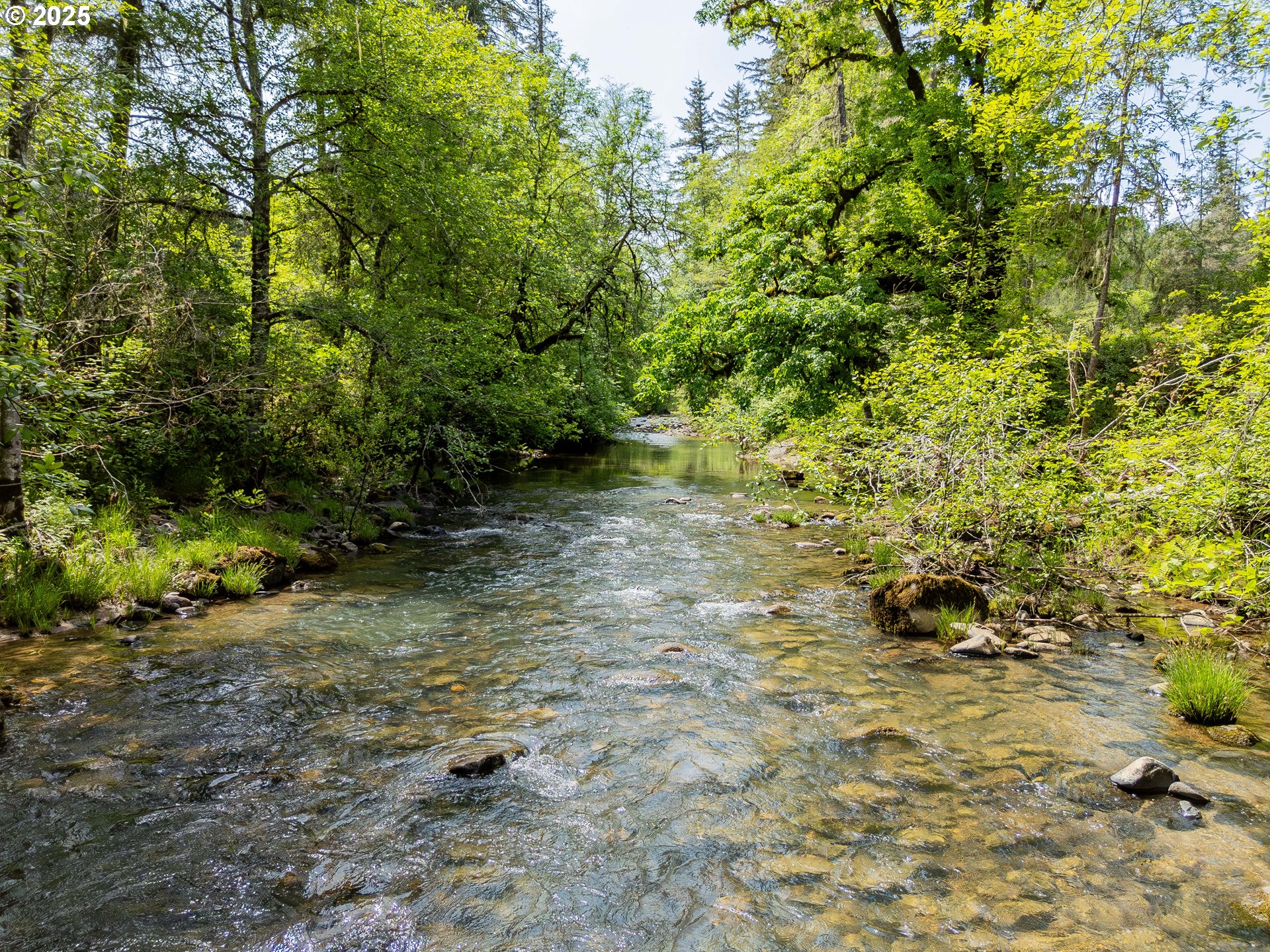 400 Newbridge Road Glide, OR 97443 - Photo 6 of 15 a view of a yard with plants and a bench
