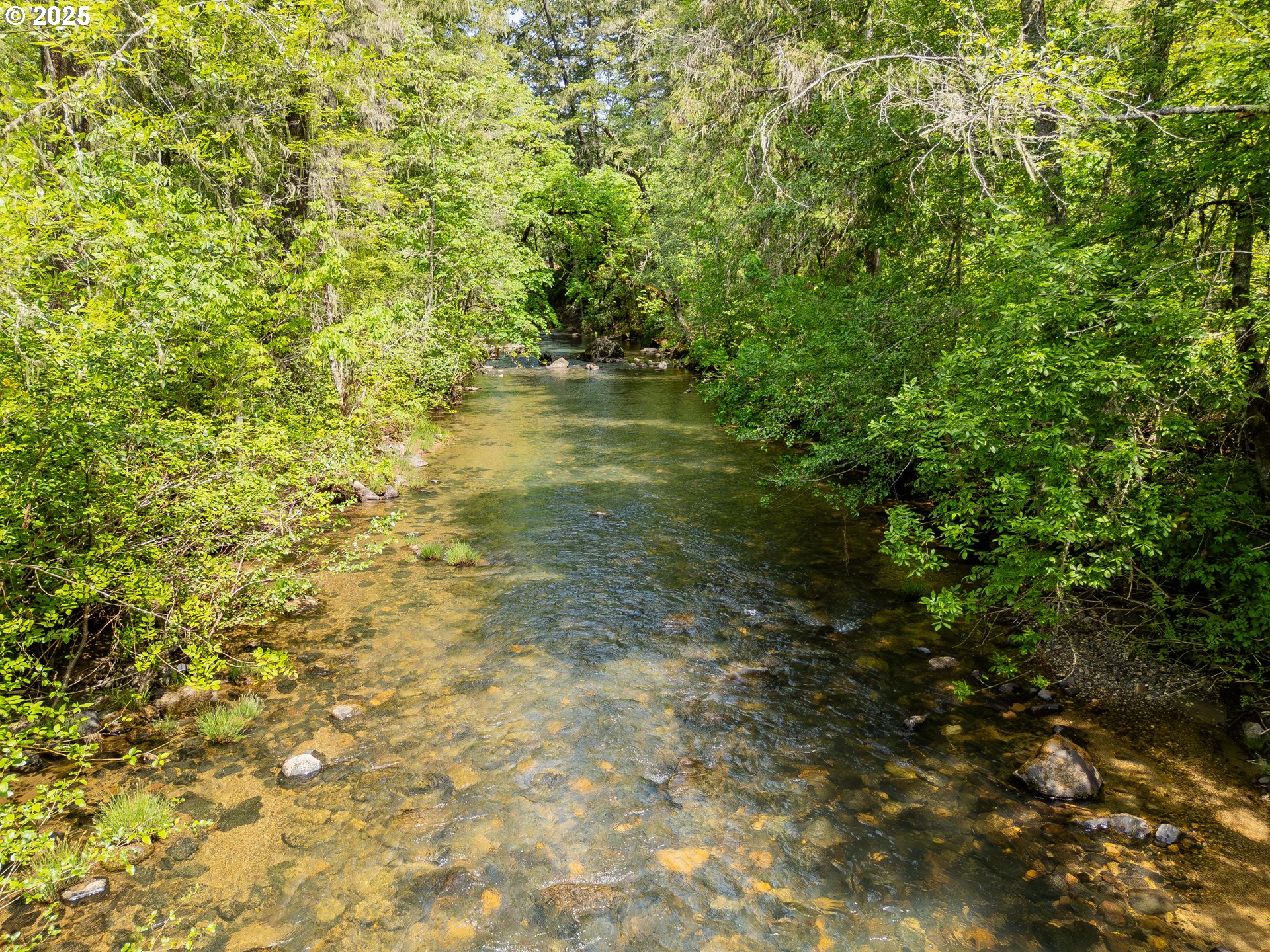 400 Newbridge Road Glide, OR 97443 - Photo 7 of 15 a view of a big yard with plants and large trees