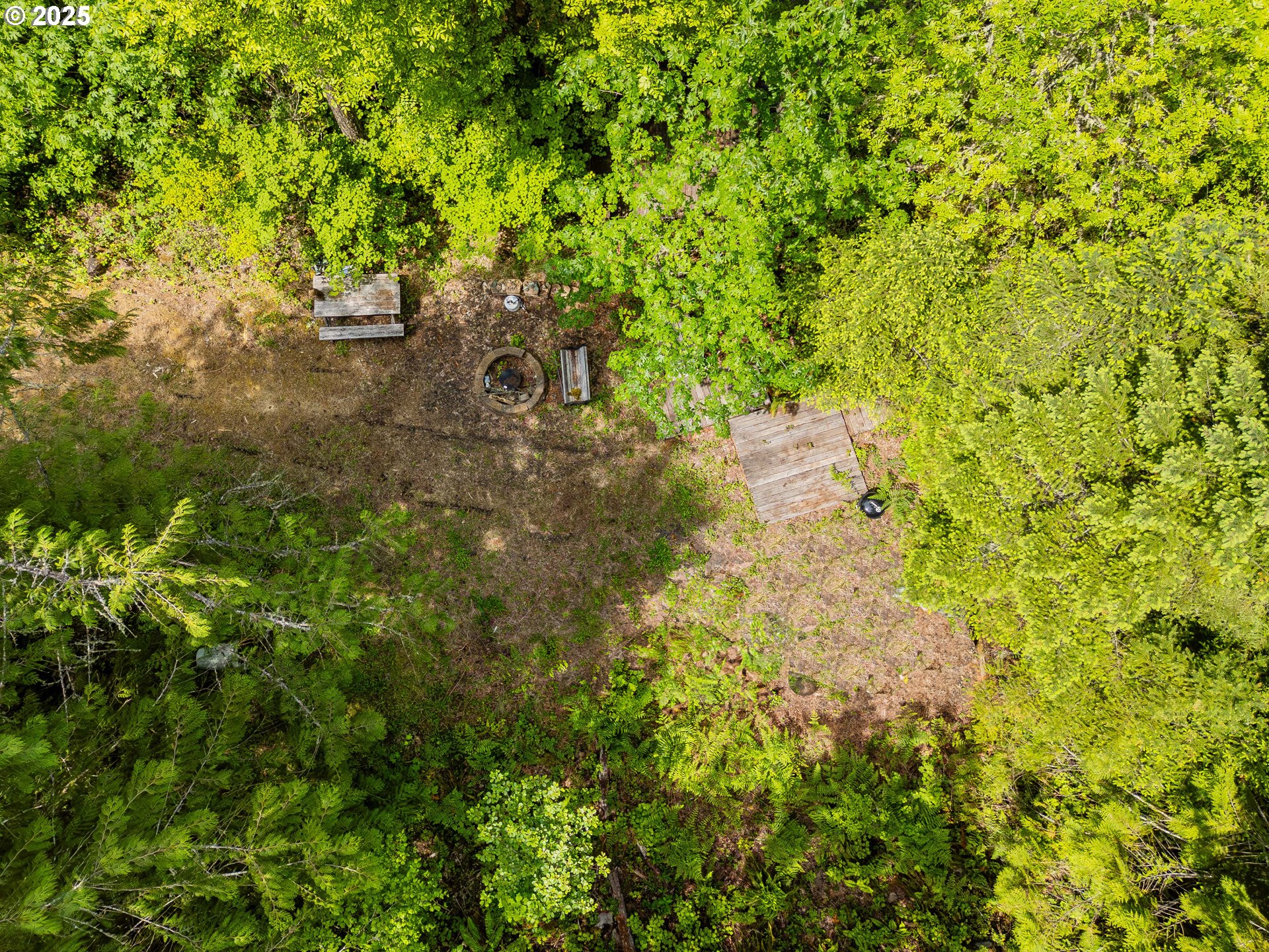 400 Newbridge Road Glide, OR 97443 - Photo 10 of 15 a view of a yard with plants and trees