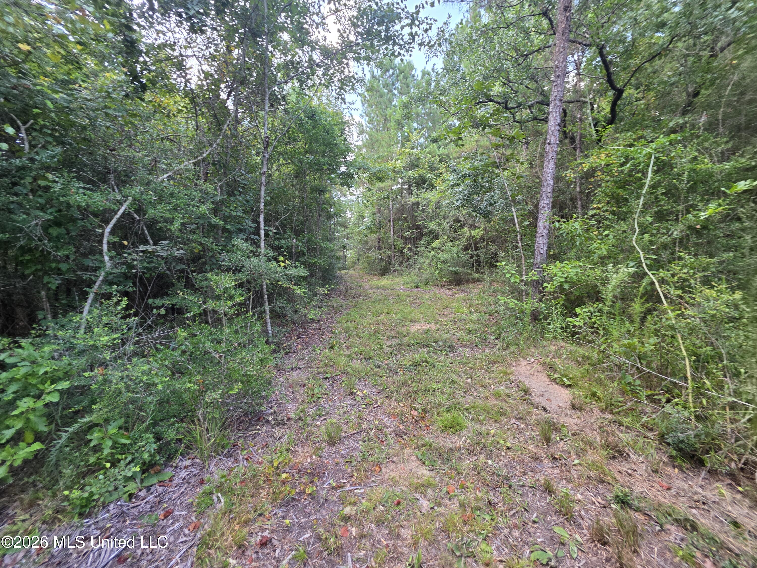 Mt Carmel Road Prentiss, MS 39474 - Photo 46 of 53 37998