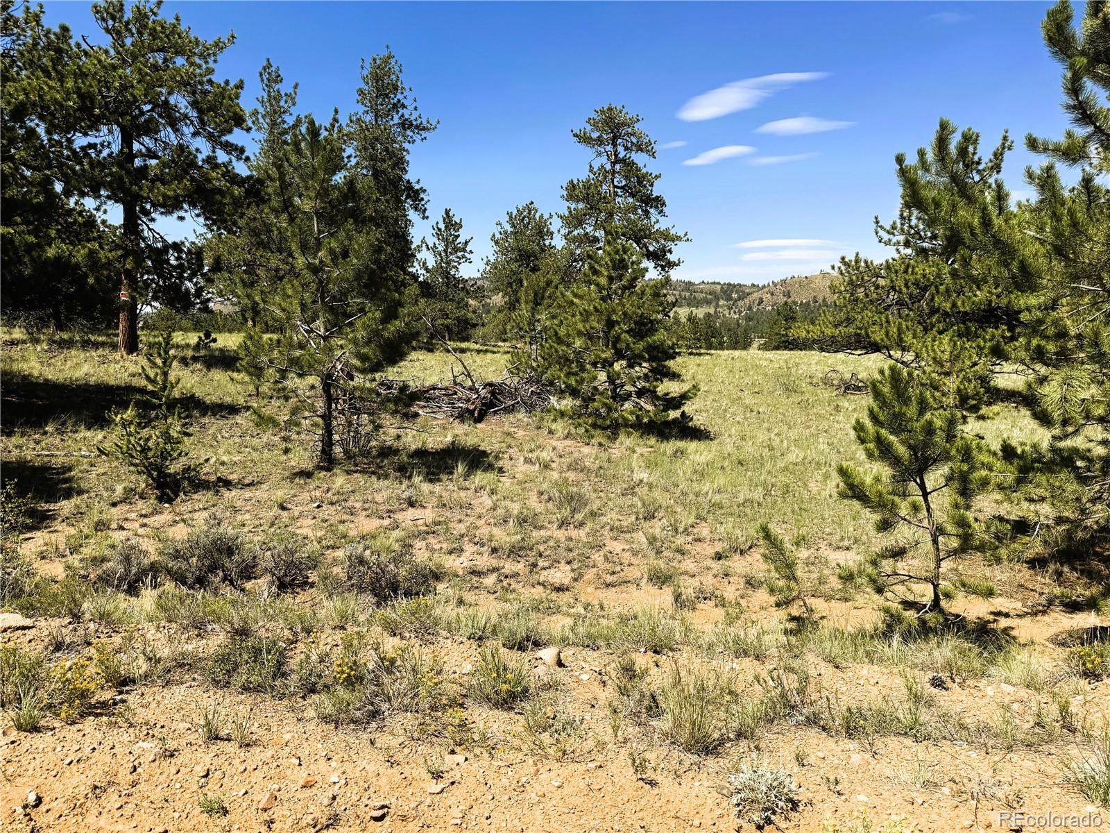127 Boulder Road Hartsel, CO 80449 - Photo 1 of 34 Gallery Image 1