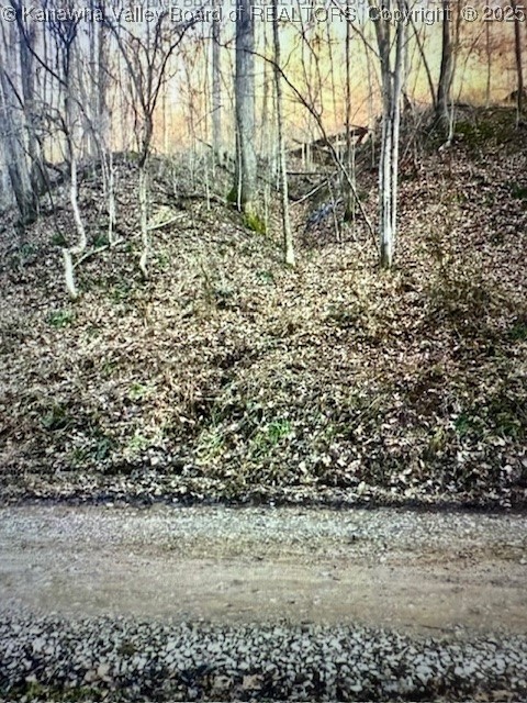 0 Utah Hollow Road Charleston, WV 25312 - Photo 21 of 39 Gallery Image 21