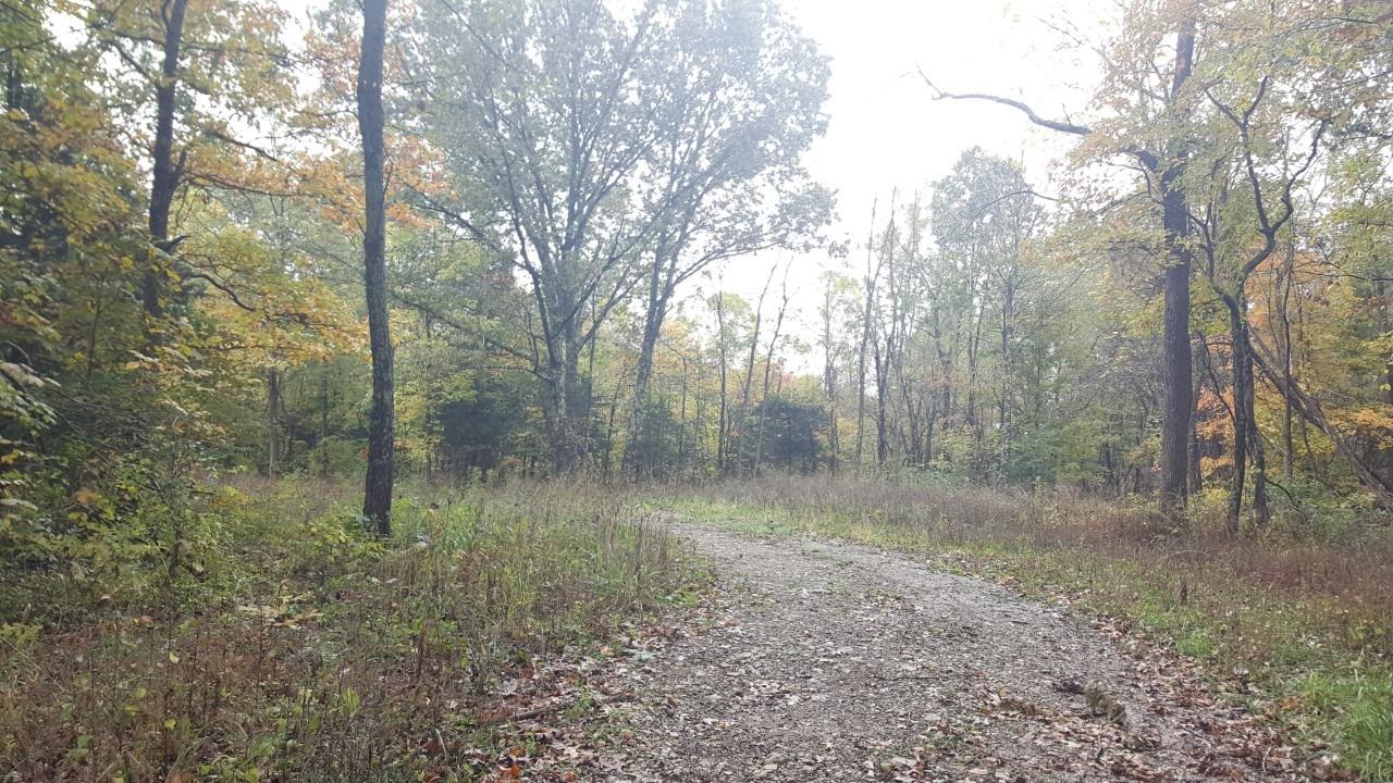 0 Cutter Road Dillsboro, IN 47018 - Photo 3 of 6 Gallery Image 3