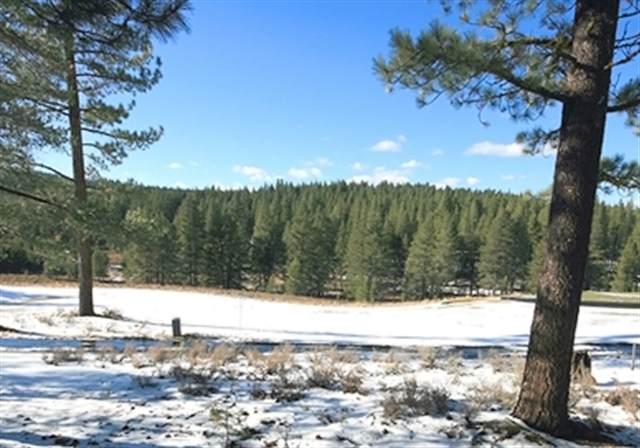 11310 Henness Road Truckee, CA 96161 - Photo 9 of 9 Gallery Image 9