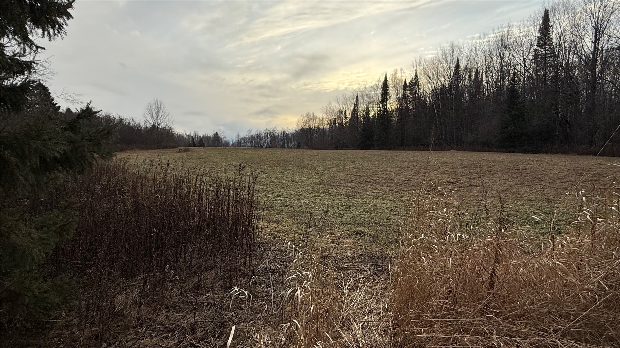 80-acres 80-acres Off South Park Road Butternut, WI 54514 - Photo 5 of 44