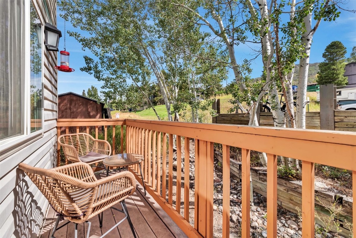 3025 Columbine Drive, Unit 30 Steamboat Springs, CO 80487 - Photo 5 of 31