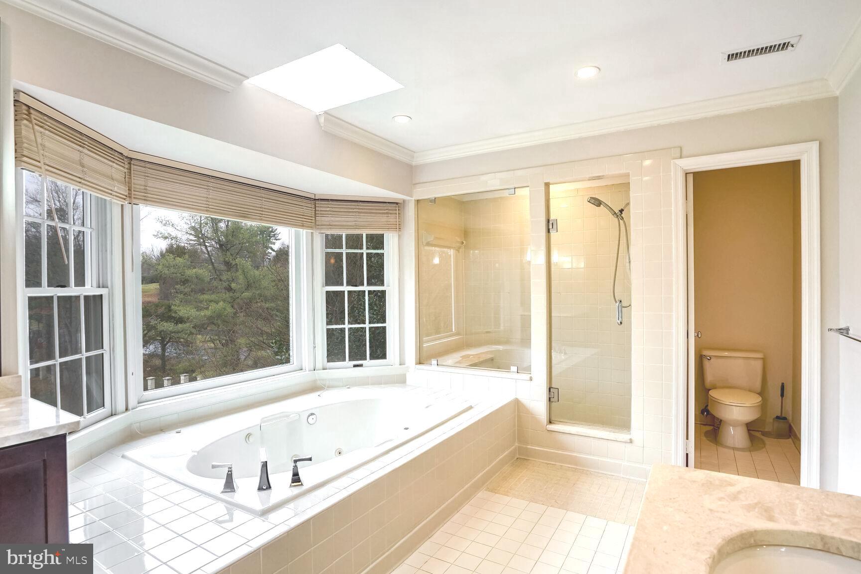 1222 Ranleigh Road McLean, VA 22101 - Photo 28 of 49 a bathroom with a tub and a sink