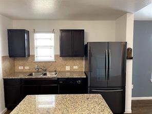 12005 Riparian Road Manor, TX 78653 - Photo 5 of 6 a kitchen with granite countertop a refrigerator and a sink