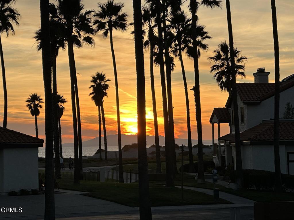4427 Antigua Way Oxnard, CA 93035 - Photo 41 of 43 a view of palm trees